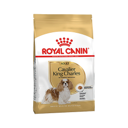 Royal Canin Cavalier King Charles Yetişkin Köpek Maması (1,5 kg)