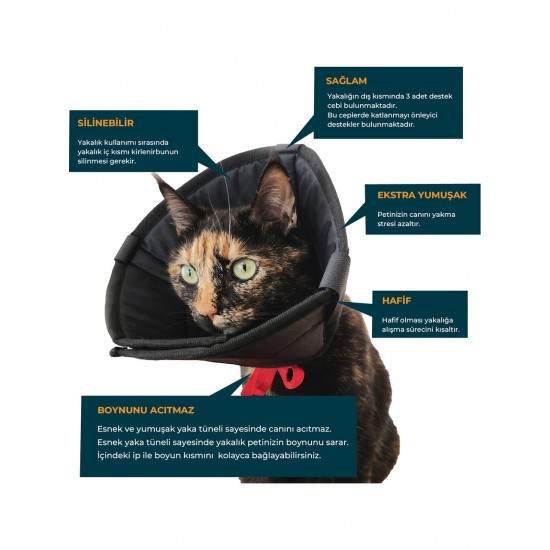 Petsuit Kedi ve Köpek Operasyon Yakalığı 15 cm