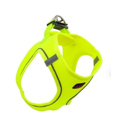 Tailpetz Air Mesh Göğüs Tasması Lime (L)