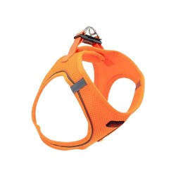 Tailpetz Air Mesh Göğüs Tasması Turuncu (3XS)