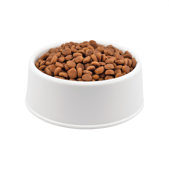 Purina Pro Plan Somonlu Orta Irk Açık Yetişkin Köpek Maması