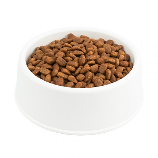 Purina Pro Plan Somonlu Açık Orta Irk Yavru Köpek Maması